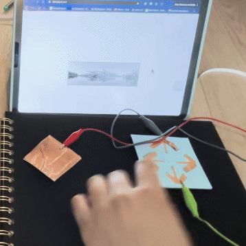 This shows a zoom-in and out feature as well as a button to switch from black & white to colour.